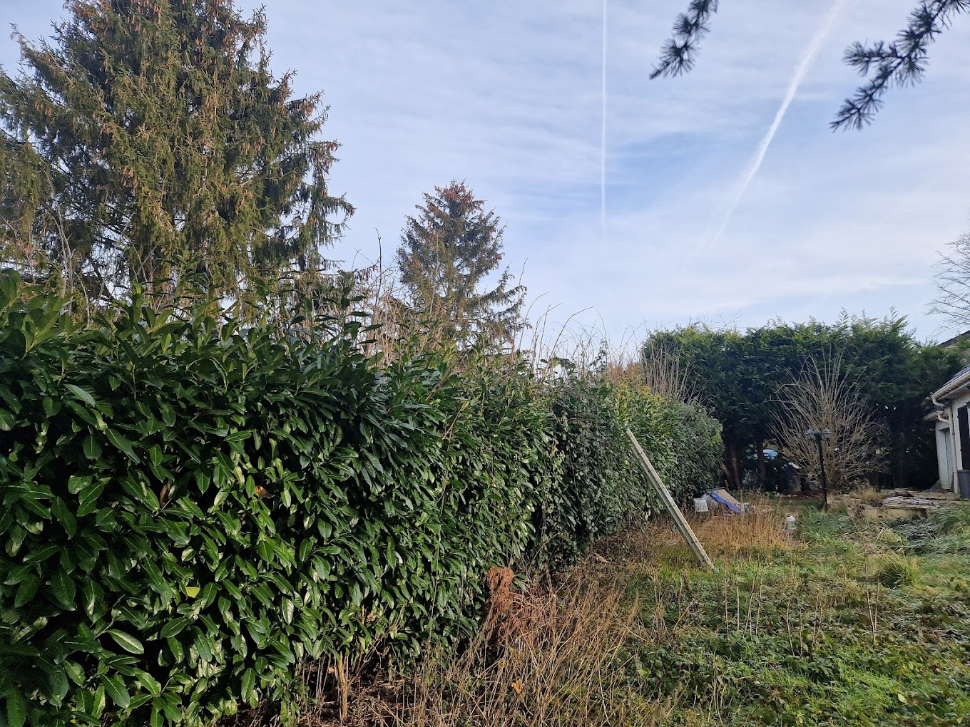 Travaux divers d'élagage & abattage - Photo 8