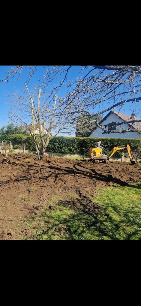 Travaux divers d'élagage & abattage - Photo 14