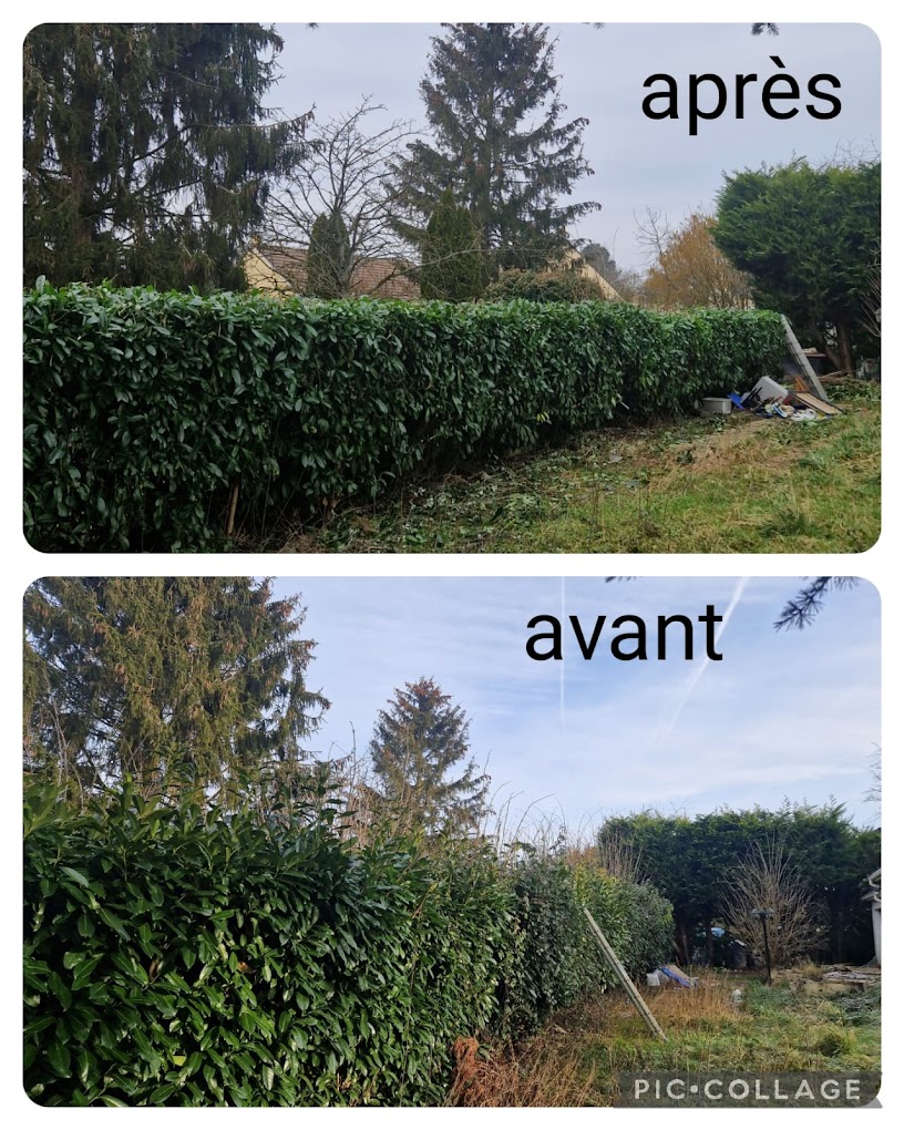 Travaux divers d'élagage & abattage - Photo 13